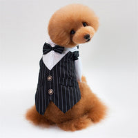 PawGent Tuxedo Vest