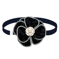 Chewnel Ajustable Collar