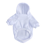 Pawlenciaga Hoodie
