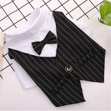PawGent Tuxedo Vest