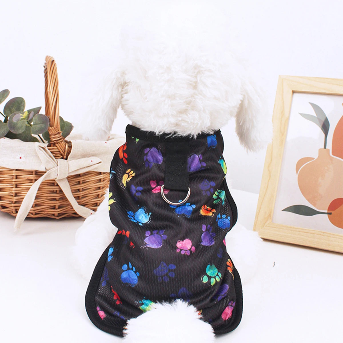Multicolor Paws Tee