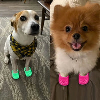 Summer Sandals