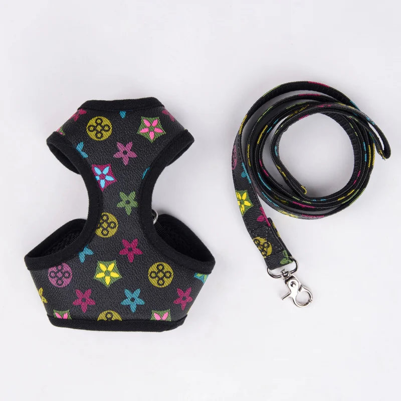 PawChic Monogram Harness and Leash