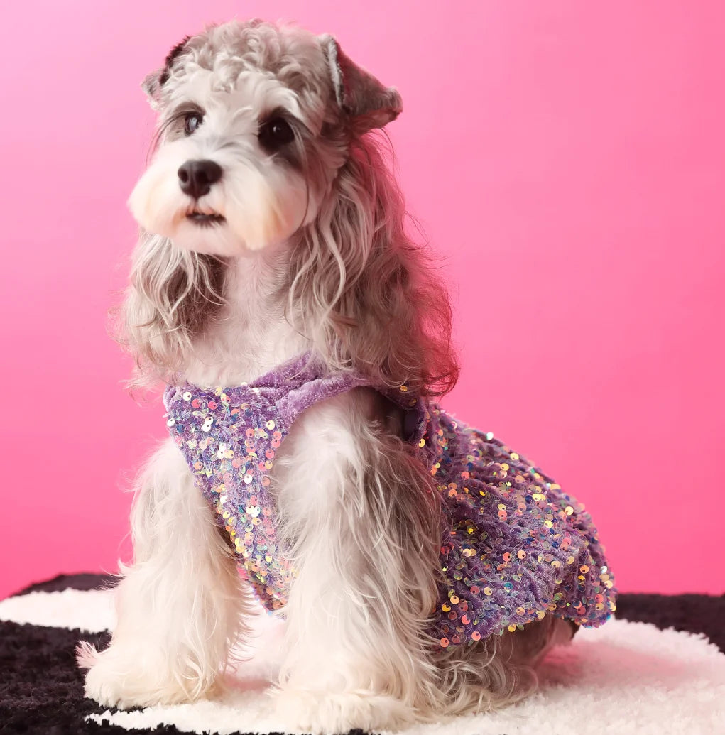 Princess Sequin Dress