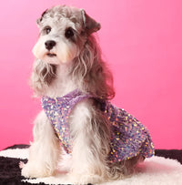 Princess Sequin Dress