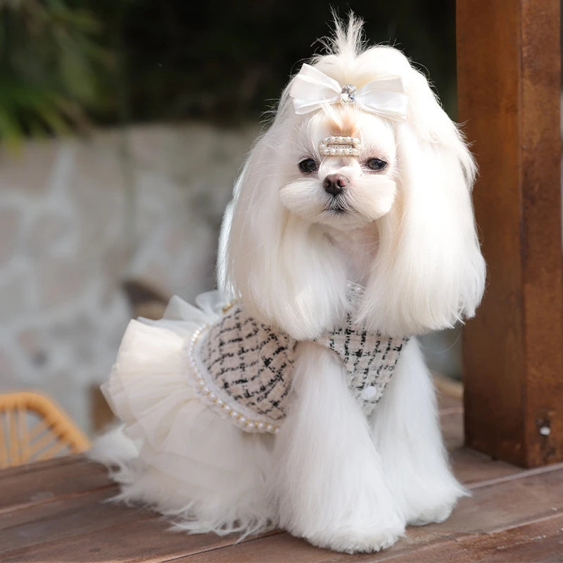 Couture Tweed Dress