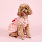 PawFlower Embroidered Dress