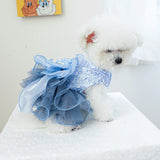 PawCinderella Dress