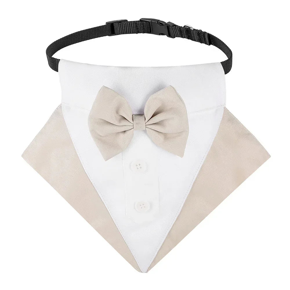 Tuxedo Bandana Collar