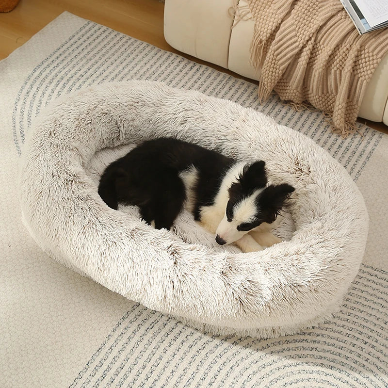 PawLuxe Oval Dog Bed