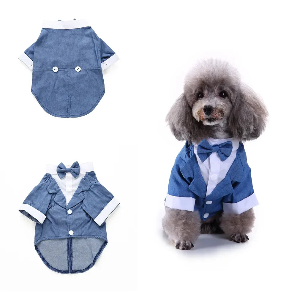 Tie Suit