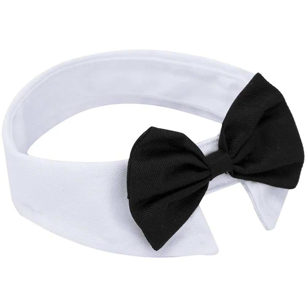 Bowtie Collar