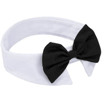 Bowtie Collar