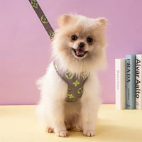 Vuittawn Monogram Harness and Leash