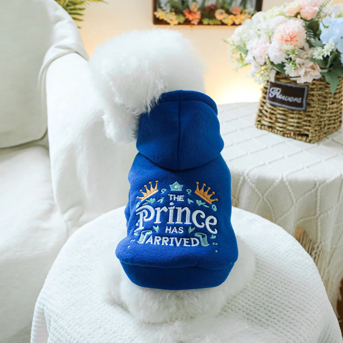 The Prince Has Arrived Hoodie