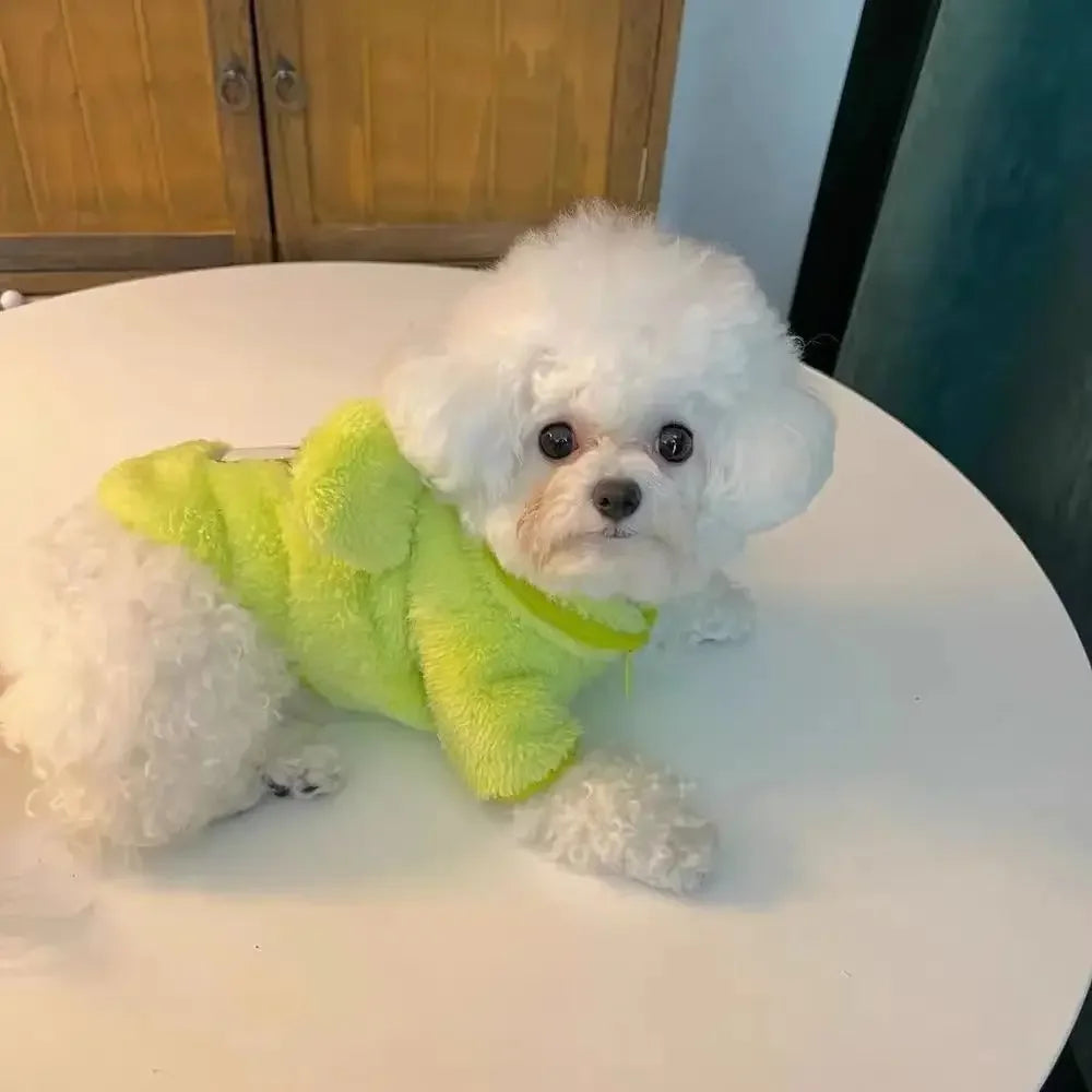 PawBear Plush Jacket
