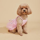Princess Ballet Dress