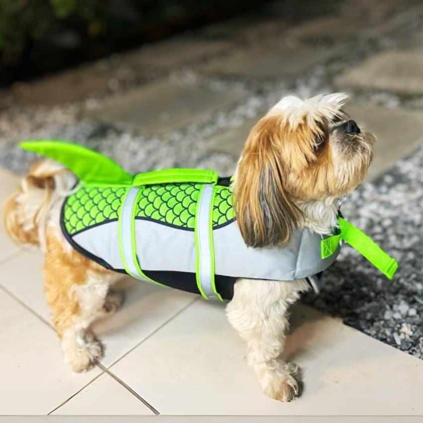 Mermaid Shark Life Jacket