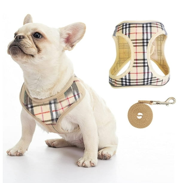 Adjustable Reflective Dog Chest Carrier with Attached Leash - A Safe and Comfortable Choice for Any Occasion!