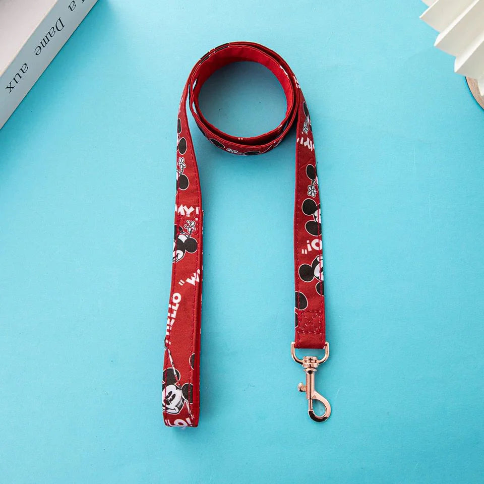 Disney Harness and Leash