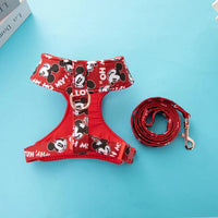 Disney Harness and Leash