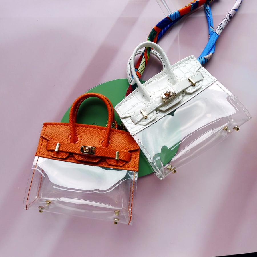 Mini Barkin Transparant Purse