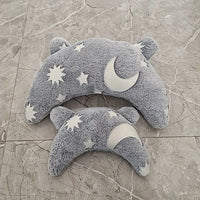 Luminous Glow in the Dark Pet Pillow