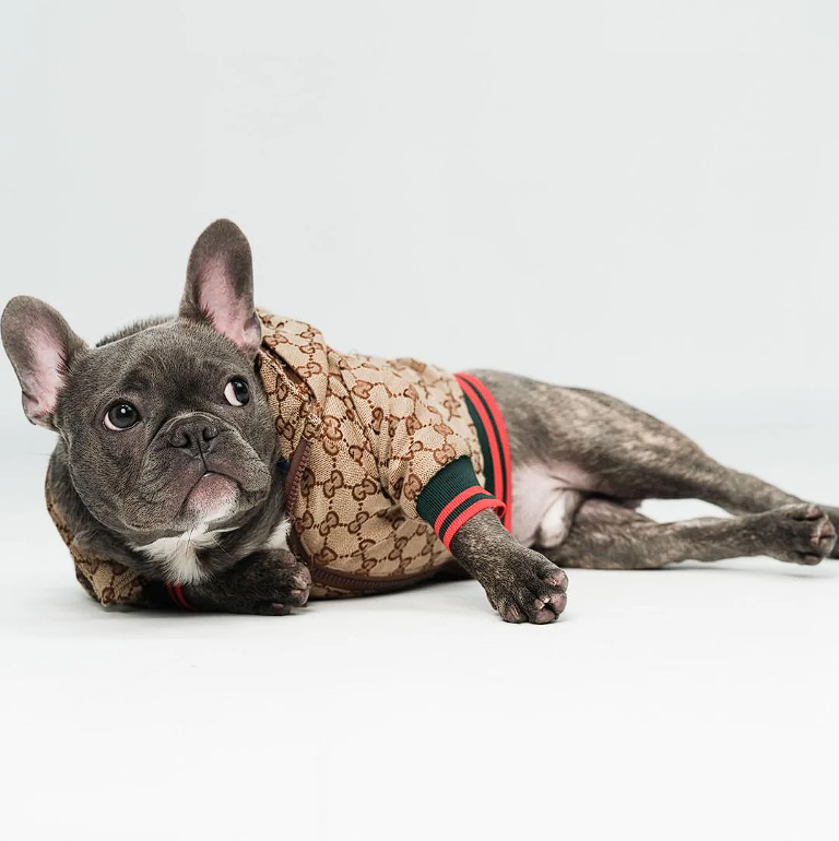 Gucchi Jacket