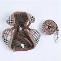 Purberry Harness and Leash